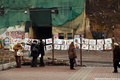 Экспозиция карикатур на Майдане постоянно обновляется. Фото Дмитрия Борко/Грани.ру