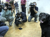1. Хэнриэтта Буш - мама собаки Путина Кони, главный почетный гость выставки. Фото Д.Борко/Грани.Ру