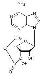 Структура молекулы с сайта en.wikipedia.org