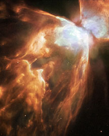 Туманность NGC 6302, находящаяся в 4 тысячах световых лет от Земли. Фото ESA/NASA/Albert Zijlstra. Под картинкой находится ссылка на изображение с лучшим разрешением с сайта New Scientist, рекомендуем обязательно посмотреть