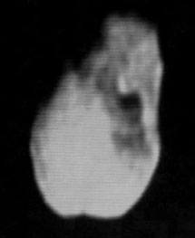 Изображение кометы Темпеля-1, полученное менее, чем за час до соударения. Фото NASA TV с сайта spaceflightnow.com