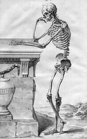 Скелет с сайта www.cor.neva.ru