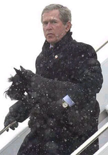Джордж Буш возвращается с каникул. Фото с сайта Drudgereport.