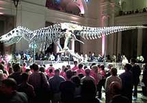 T.rex. Фото с сайта BBC News